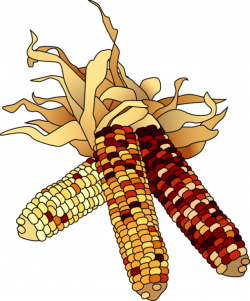 Fall Corn Cliparts - Cliparts Zone