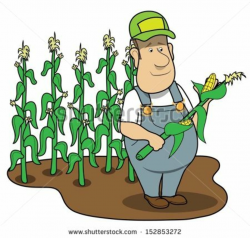 farmer in corn field - stock | Clipart Panda - Free Clipart Images