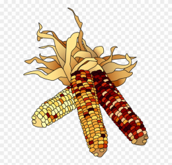 Indian Corn Clipart - Png Download (#1783058) - PinClipart