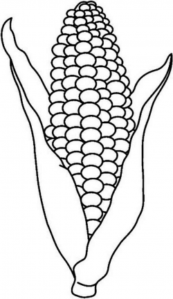 Black And White Corn | Free download best Black And White Corn on ...