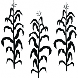 Corn Silhouette Clipart - Clip Art Library