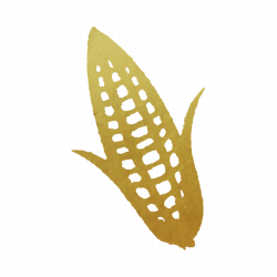 Corn, Agriculture, Silhouette, transparent png image & clipart free ...
