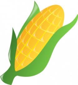 Yellow Corn Clip Art at Clker.com - vector clip art online, royalty ...