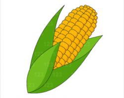 Free Indian Corn Clipart, Download Free Clip Art, Free Clip Art on ...