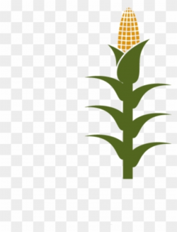 Free PNG Corn Stalk Clip Art Download - PinClipart