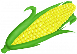 Corn PNG Images Transparent Free Download | PNGMart.com