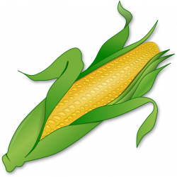 Corn PNG Images Transparent Free Download | PNGMart.com