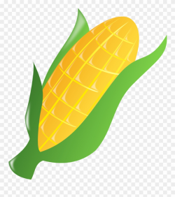 Corn Black White Line Art 999px 322 - Corn Clipart Transparent ...