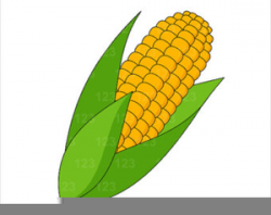 Free Indian Corn Clipart | Free Images at Clker.com - vector clip ...
