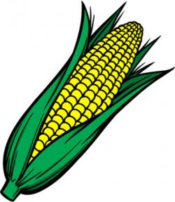 Corn clipart vector pencil and in color corn – Gclipart.com