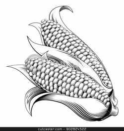 Free Black And White Corn, Download Free Clip Art, Free Clip Art on ...