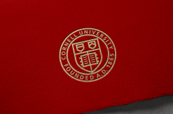 Cornell University - Chermayeff & Geismar & Haviv