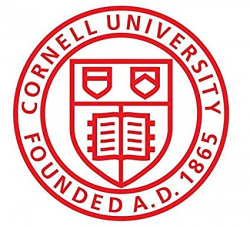 Cornell University Bumper Sticker | 7 Sizes Logo Car Emblem Windows laptops  | Cornell University Car Decal (2\