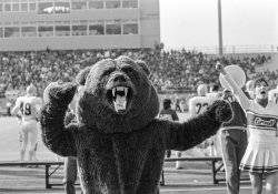 Touchdown (mascot) - Wikipedia
