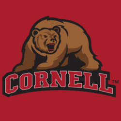 Cornell University - Red Bear Mascot design on iPhone 6 / 6s Guardian Case  | Coveroo
