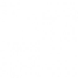 Cornell Student Essentials