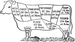 Butcher\'s Cut Chart | Farm. things <{°ͺ ͺ°}> | Butcher shop, Bbq ...