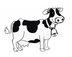 Free Black And White Cow Pictures, Download Free Clip Art, Free Clip ...