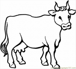 Black And White Cow Clipart | Free download best Black And White Cow ...