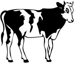 Cow Clipart Black And White | Clipart Panda - Free Clipart Images