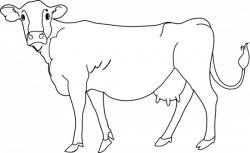 Cow clipart clipart clipartcow - Cliparting.com