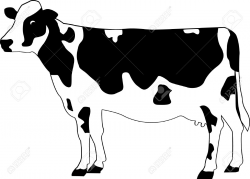 Black And White Cow Clipart | Free download best Black And ...