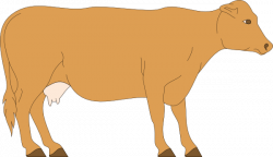 Brown Cow Side View Clip Art at Clker.com - vector clip art online ...
