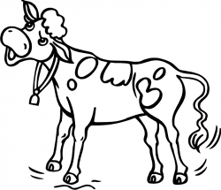 Free Cow Images Free, Download Free Clip Art, Free Clip Art on ...