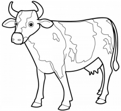 Cow Coloring Page - Best, Cool, Funny