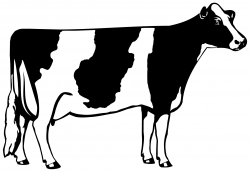 Free Dairy Cow Cliparts, Download Free Clip Art, Free Clip Art on ...