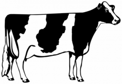 Cow Outline Clip Art Free, coloring page of a cow - American Home ...