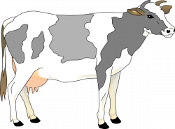 Collection of free Vector cow realistic. Download on UI Ex