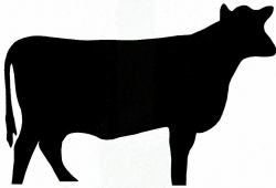 Free Cow Silhouette Cliparts, Download Free Clip Art, Free Clip Art ...