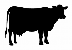 Pin by Gayle Arvin on vinyl | Silhouette, Animal silhouette, Cow art