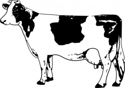 Cow clip art Free vector in Open office drawing svg ( .svg ) vector ...