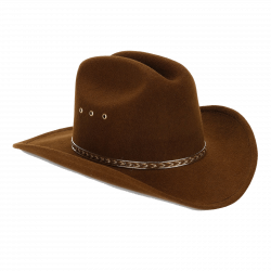 Cowboy Hat Brown Felt transparent PNG - StickPNG