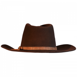 Cowboy Hat PNG Transparent Images | PNG All