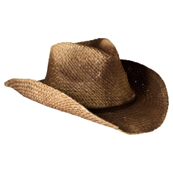 Cowboy Hat PNG Transparent Images | PNG All
