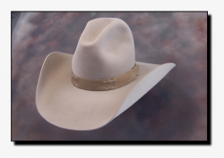Quigley Classic 8x Silverbelly - Cowboy Hat - Free ...