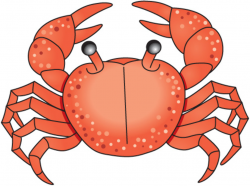 Free Crab Cliparts, Download Free Clip Art, Free Clip Art on Clipart ...