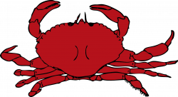 Crab clip art cartoon free clipart images 3 - Cliparting.com
