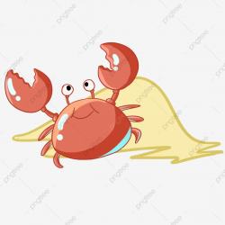 Summer Beach Small Crab Marine Life, Beach, Crab, Cute Little Animal ...