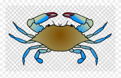 Chesapeake Blue Crab Clipart Dungeness Crab Clip Art - Blue Crab ...