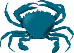 Annaleeblysse blue crab clip art at vector clip art - ClipartPost