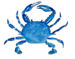 Image of blue crab clipart 1 blue crab logo images clipartoons ...
