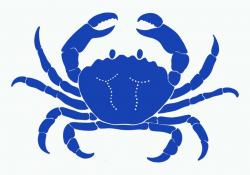 Free Crab Cliparts Outline, Download Free Clip Art, Free Clip Art on ...