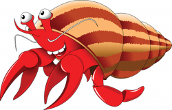 Cute hermit crab clipart 9 » Clipart Station