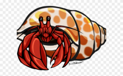 Crab Clipart Carson Dellosa - Clip Art Hermit Crab - Png Download ...