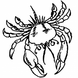 Crab Outline Clipart Free Stock Photo - Public Domain Pictures