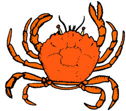 Free Crab Clipart Pictures - Clipartix